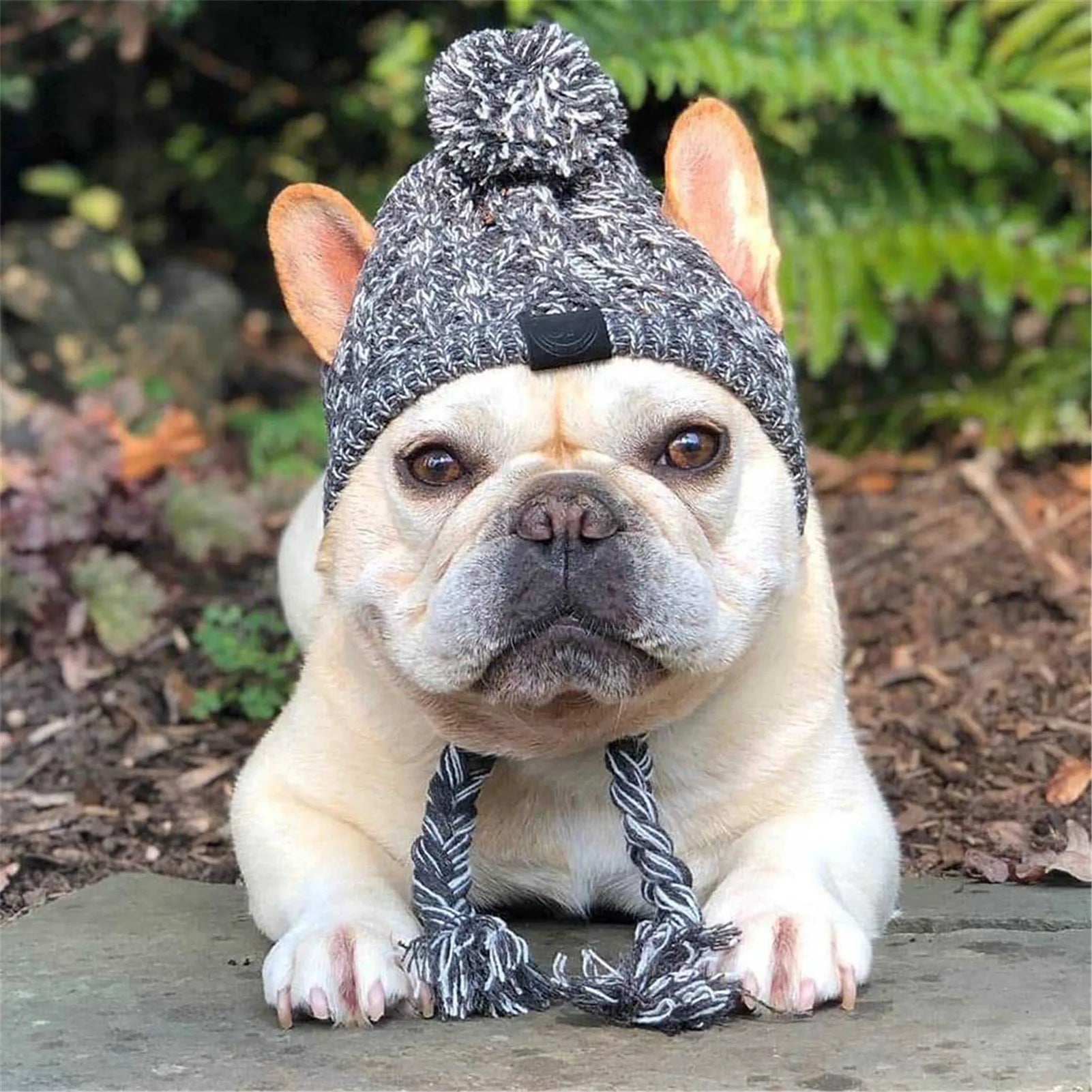 Winter Warm Dog Hats Windproof Knitting French Bulldog Hat for Dogs Chihuahua Hat Fluffy Ball Puppy Accessories Pet Hats