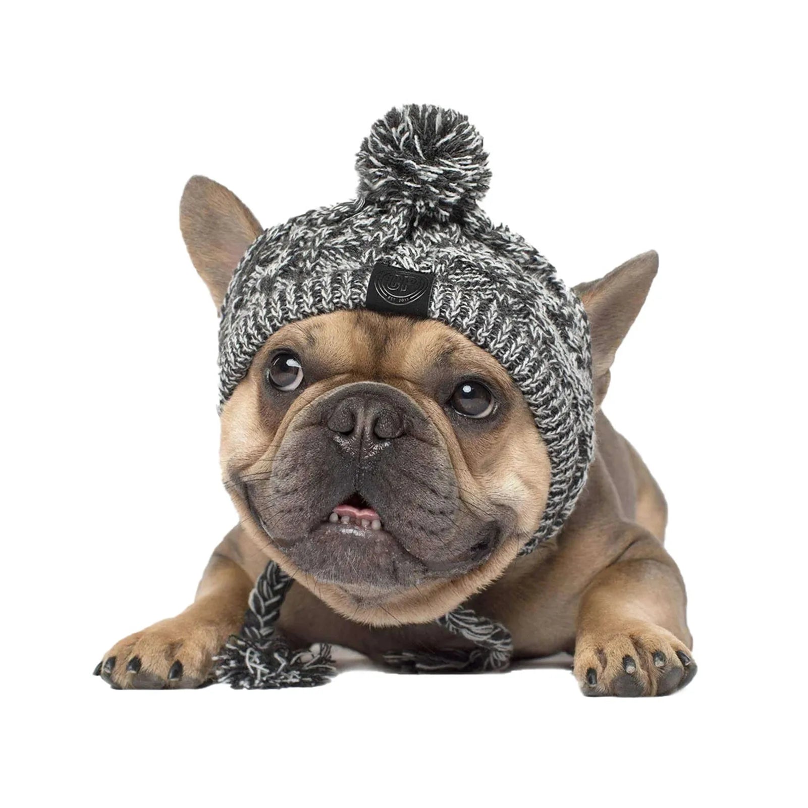 Winter Warm Dog Hats Windproof Knitting French Bulldog Hat for Dogs Chihuahua Hat Fluffy Ball Puppy Accessories Pet Hats