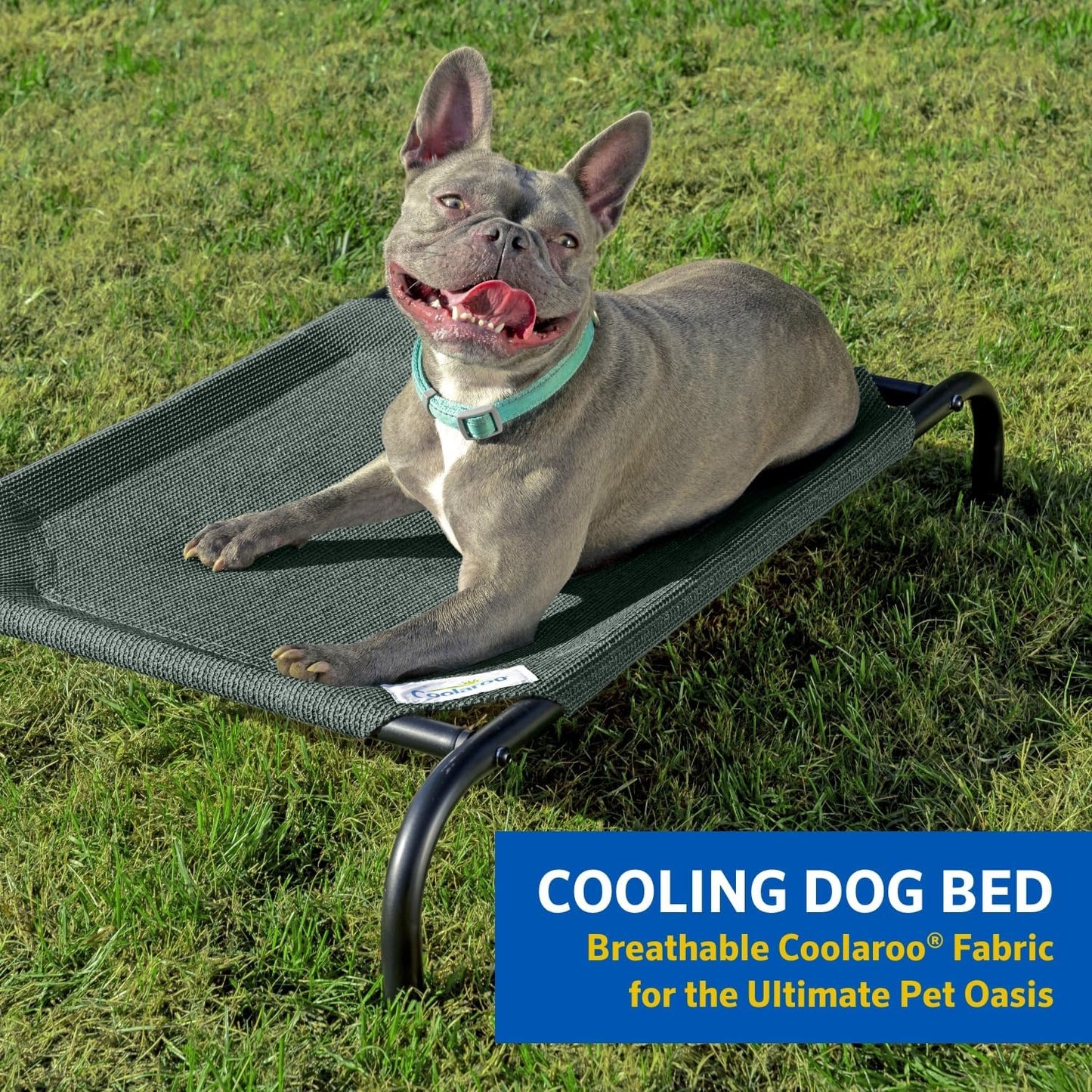 the Original Cooling Elevated Pet Bed, S to L Sizes