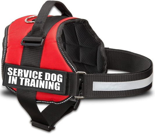 Service Dog in Training Vest with Hook and Loop Straps and Handle - Harnesses in Sizes from XXS to XXL - Service Dog Vest Harness Features Reflective Patch and Comfortable Mesh Design