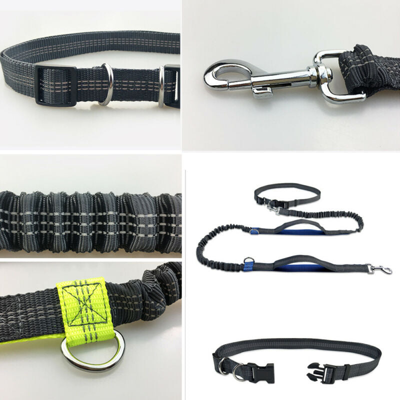 Reflective Leash Traction Rope Pet Dog Running Belt Elastic Hands Freely Jogging Pull Dog Leash Metal D-Ring Leashes Harness